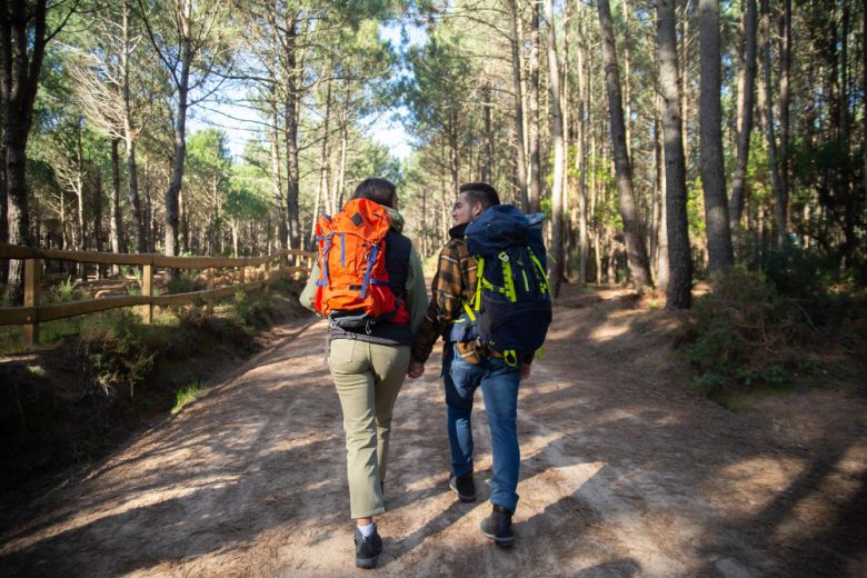 Escursioni nel Gran Paradiso: le migliori rotte per il trekking